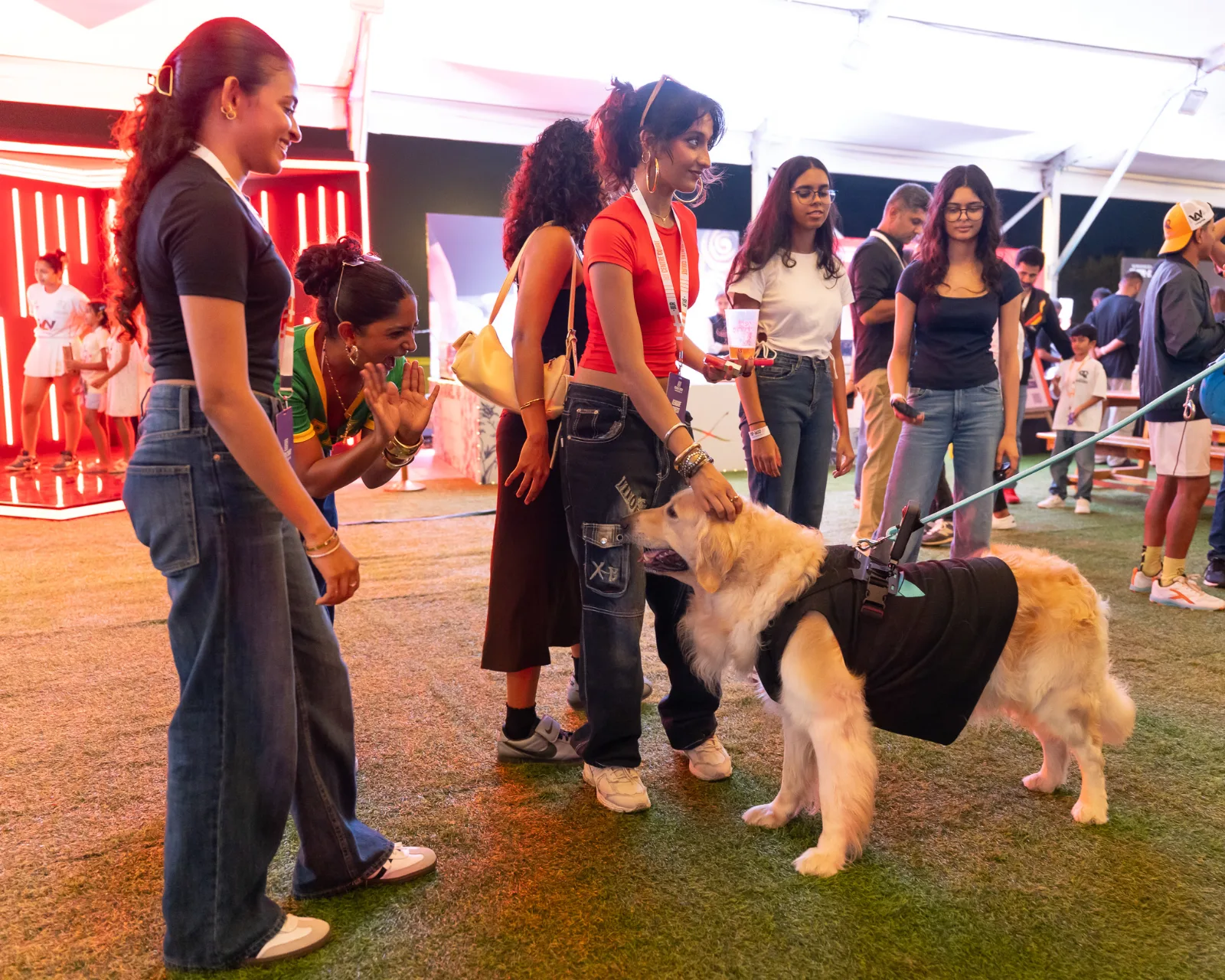 A group of people at the venue greet a golden retriever between matches